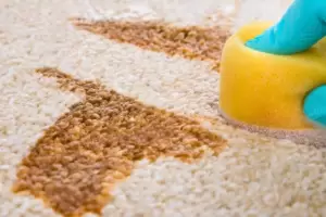 Cmo puedo remover las manchas de grasa y aceite de los tapizados del hogar?