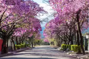 Domingo ventoso pero ms fresco en Catamarca: de cunto ser la mxima?