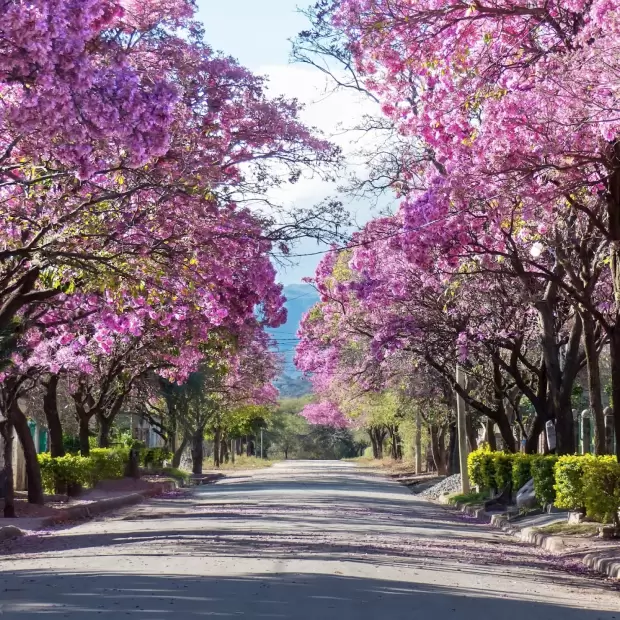 En serio: se viene un jueves con sol y primaveral en Catamarca