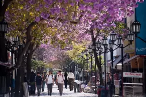 Jueves muy caloroso y ventoso: as estar en Catamarca