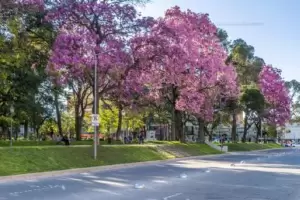 Con calorcito, as arranca la semana