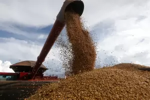 Suspensin de retenciones: advierten un costo fiscal cercano a los US$1.000 millones