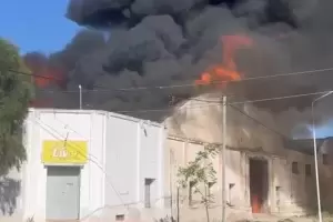 Voraz incendio: las llamas consumieron un galpn