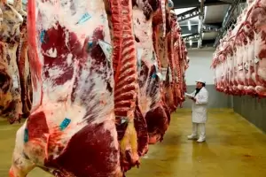 Carne en alerta: el "Efecto China" y la crisis de rentabilidad local