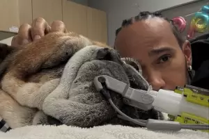 El dolor de Lewis Hamilton por la salud de su perro Roscoe