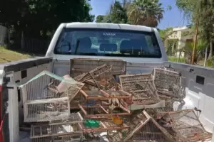 Capayn: secuestran aves en cautiverio