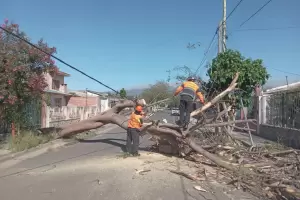 Se despleg un operativo para mitigar los efectos del viento Zonda en la provincia