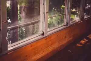 Cmo eliminar el polvo y la pelusa del marco de las ventanas?