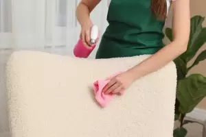 Cmo remover las manchas de orina de gato de las alfombras y sillones?