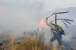 Brigadistas contienen incendio forestal en Santa Mara