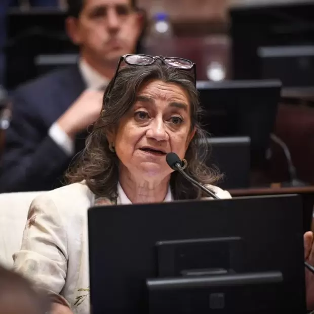 Corpacci cuestion� al Gobierno nacional y pidi� respaldo para la tarifa diferenciada en el Norte Grande