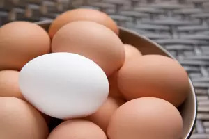 La diferencia entre los huevos de cscara blanca y los marrones, segn expertos