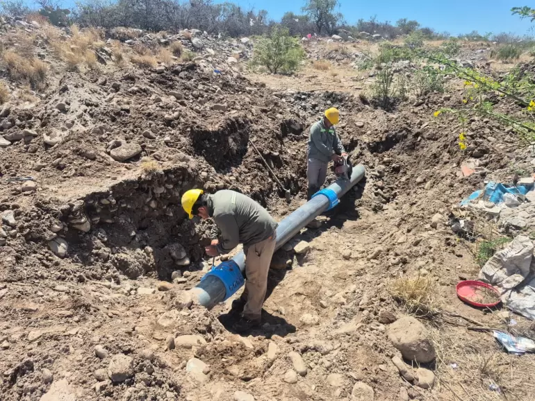 whatsapp image 2025-10-04 at 14.36.45