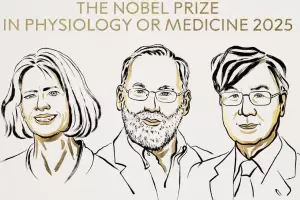 El Nobel de Medicina 2025 premia al descubrimiento de cmo el cuerpo evita atacarse a s mismo