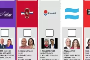 La Justicia pidi al Gobierno que detalle el costo de reimprimir las boletas del renunciado Espert