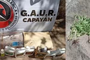 Secuestran un arma, marihuana y plantas de cannabis en Capayn