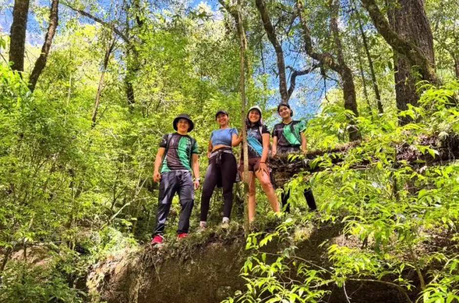 Las yungas en Pacl�n