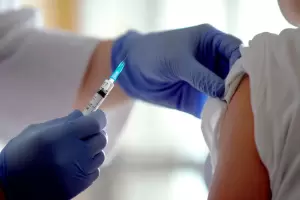 Hay alerta: Argentina se prepara para una posible epidemia de fiebre amarilla