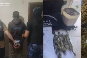 Secuestran marihuana y detienen a un joven en operativo en Catamarca