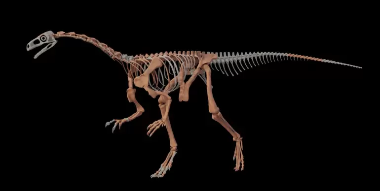 dinosaurio la rioja conicet