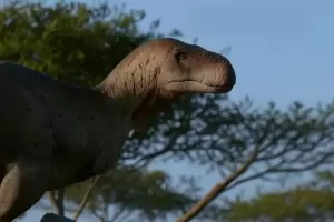 Hallan en La Rioja una nueva especie de dinosaurio: uno de los ms antiguos del mundo