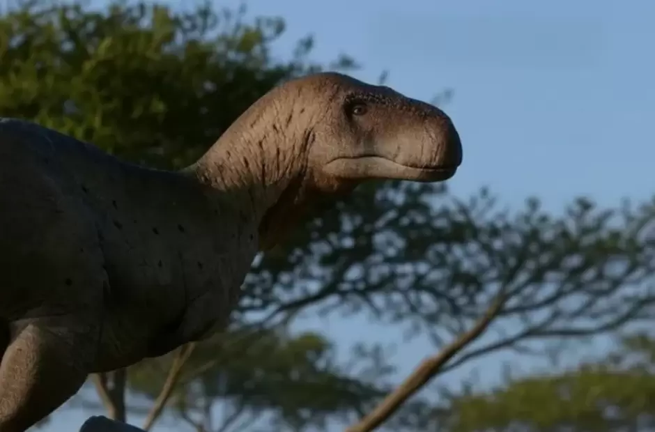 Huayracursor Jaguensis