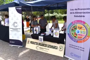 Productores de Catamarca exponen y venden productos org�nicos: �d�nde encontrarlos?