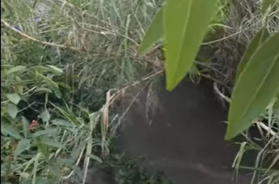 Foto captura de video