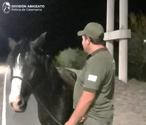 yegua recuperada en fme