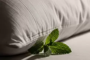 El poderoso truco de poner hojas de menta en la almohada: cmo acta y qu beneficios brinda