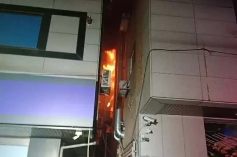 cucaracha fatalidad seul