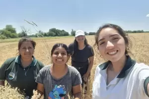 Alumnos de Catamarca cerraron un proyecto sobre productividad del trigo con resultados prometedores