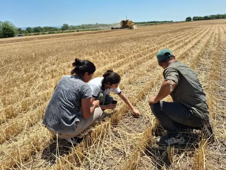 alumnos alijilan trigo