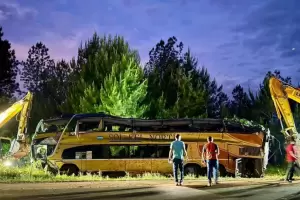 Tragedia en Misiones: cmo sigue la salud de los heridos del accidente fatal