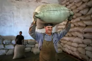 Histrico: en septiembre se enviaron ms de 7 millones de kilos de yerba mate al exterior