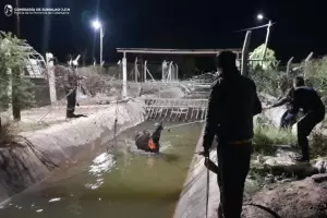 Lograron salvar a un caballo que haba cado a un canal en Catamarca