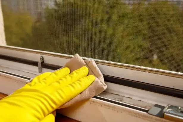 Poner papel higi�nico en los rieles de las ventanas: para qu� sirve y por qu� lo recomiendan