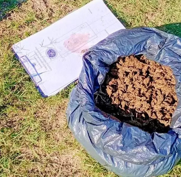 droga baado de ovanta