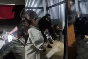 Rescatan a un gato atrapado entre chapas y una tapia en Catamarca