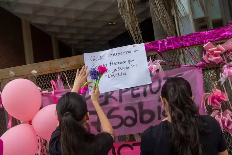 caso Cecilia Strzyzowski