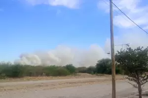 Incendio en la Planta de Residuos: solicitan que la fiscala acte de oficio
