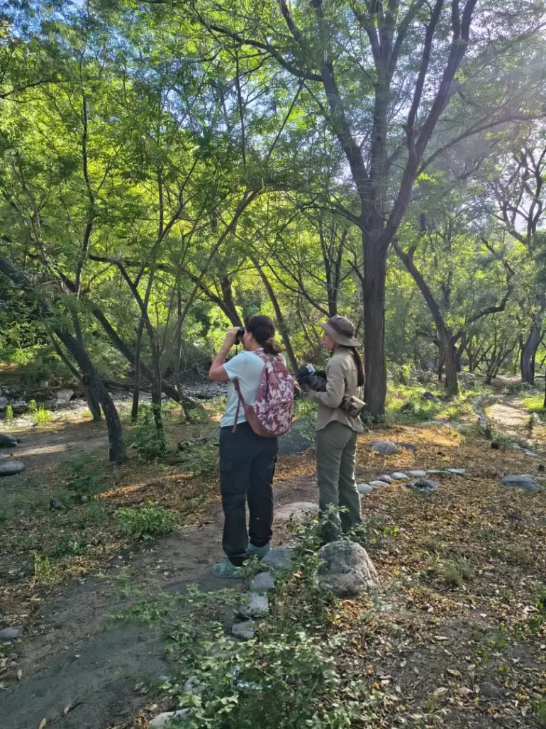 turismo catamarca finde noviembre