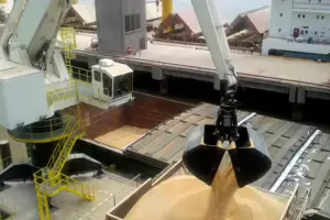 La actividad agropecuaria creci 4% interanual en octubre