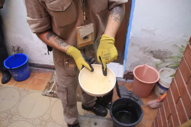 Intensifican operativos contra el dengue: este es el cronograma de control focal