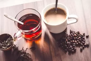 Advierten que el cacao y el t protegen el corazn del dao oculto por estar sentado