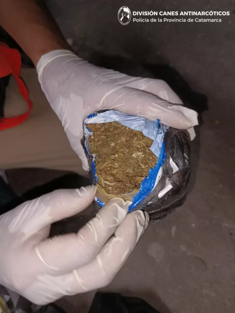 operativo valle viejo