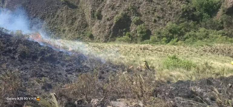 incendios forestales