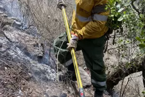 Incendios en Catamarca: la lluvia aplac los siniestros que estaban activos?