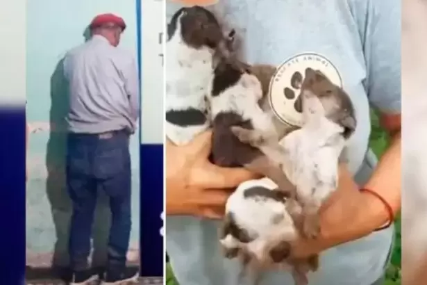 Arrestaron a un hombre por enterrar vivos en un pozo a cuatro cachorros
