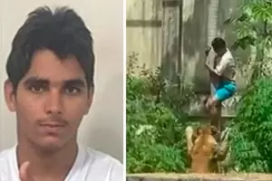 Qu decisin tomaron con la leona que mat al joven en un zoolgico de Brasil?